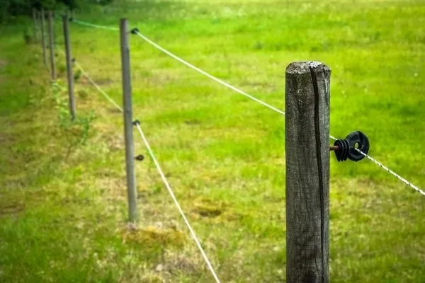 ventajas cerca eléctrica ganado ventajas cerca eléctrica ganado