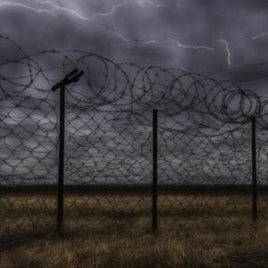 alambre de puas con electricidad