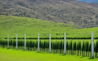 distancia entre postes para cerca eléctrica