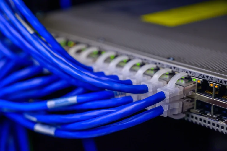 Cables de red azules organizados en un switch de comunicaciones