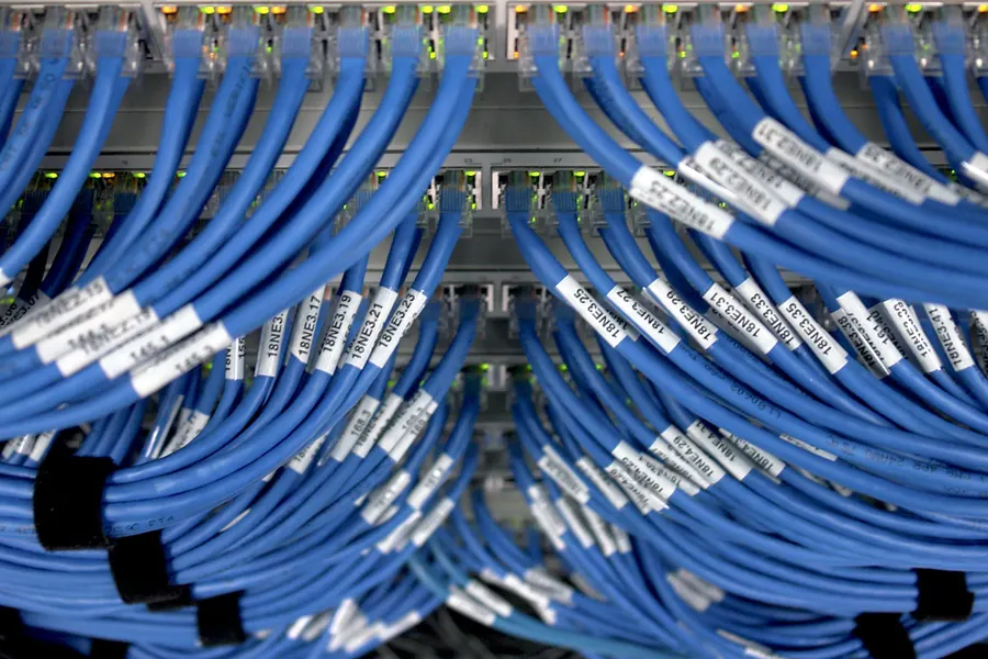 Cables de red azules ordenados en un rack, cada uno con su etiqueta impresa