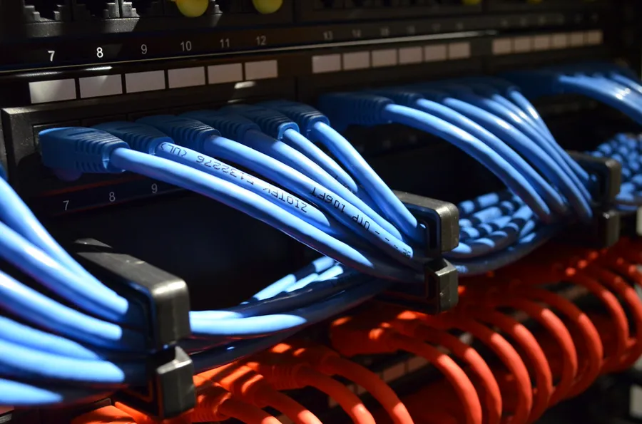 Cables de parcheo azules conectados a un patch panel numerado, de cerca
